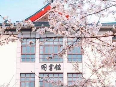 
                        4:3图片