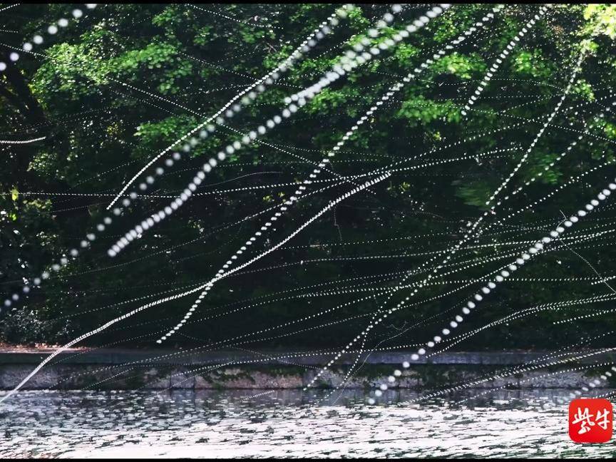 
                        4:3图片