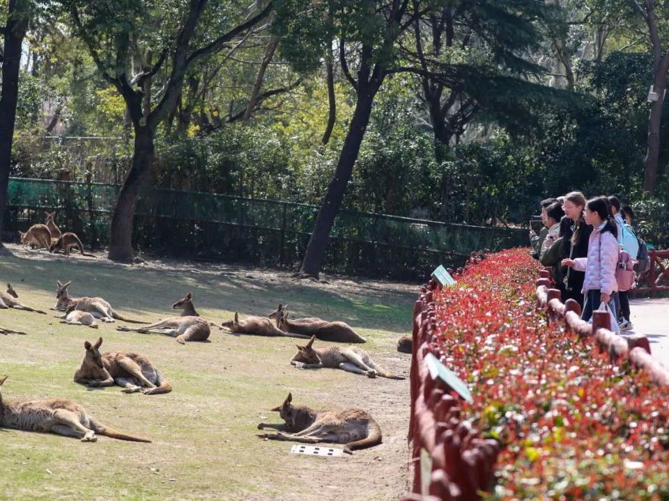 
                        4:3图片