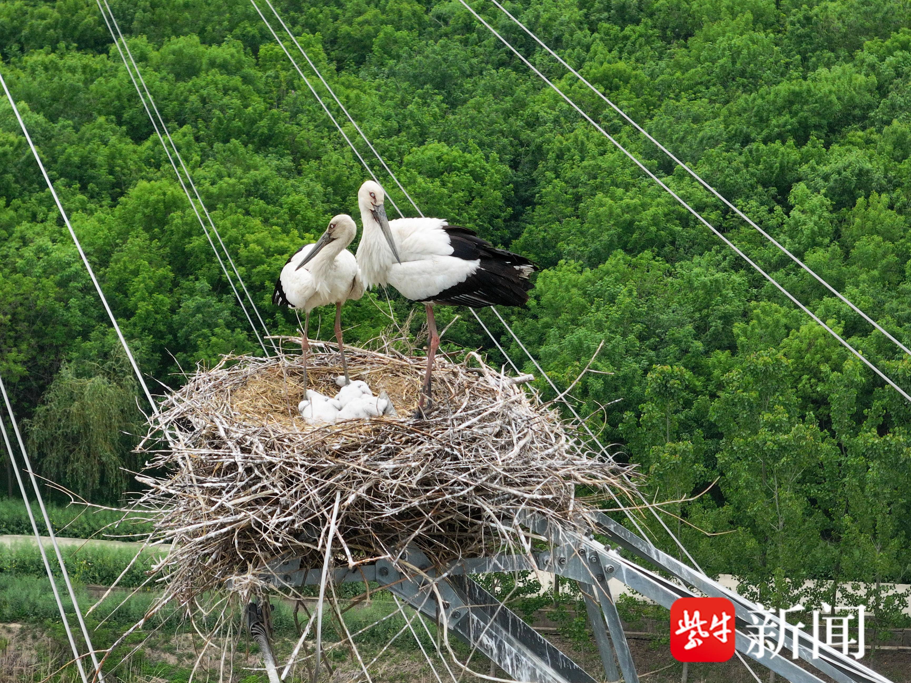 
                        4:3图片