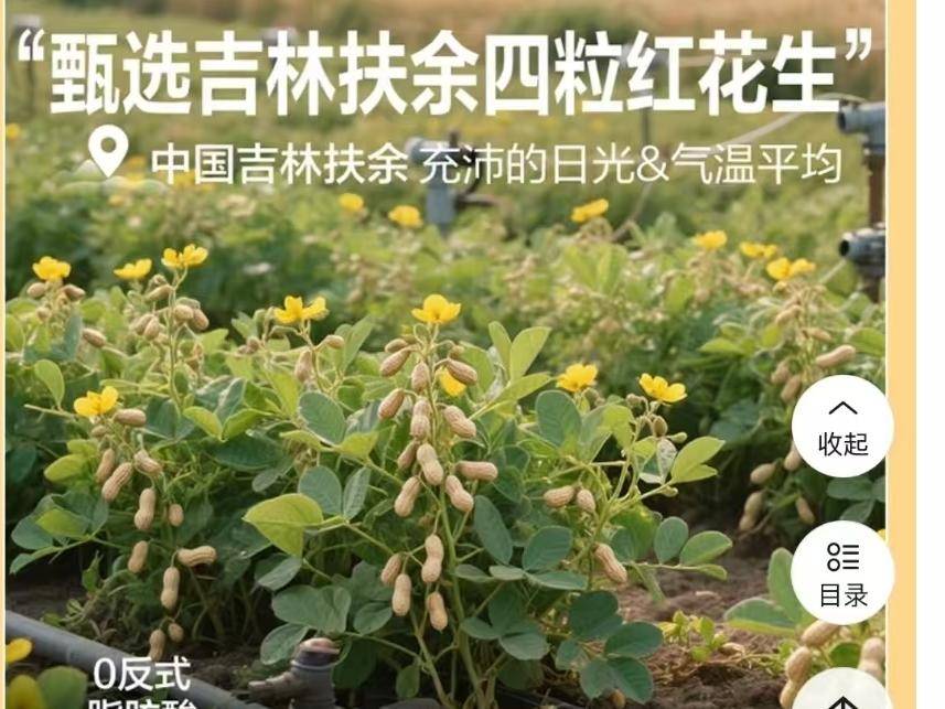 
                        4:3图片