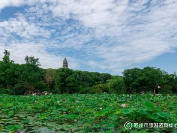
                        4:3图片