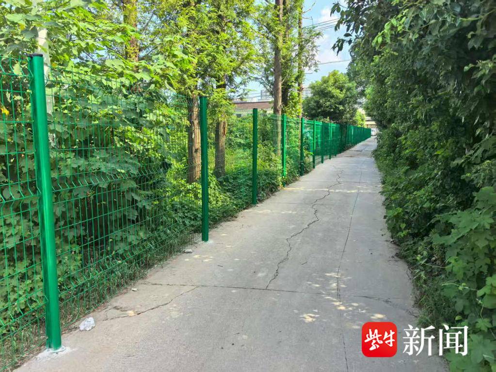 
                        4:3图片