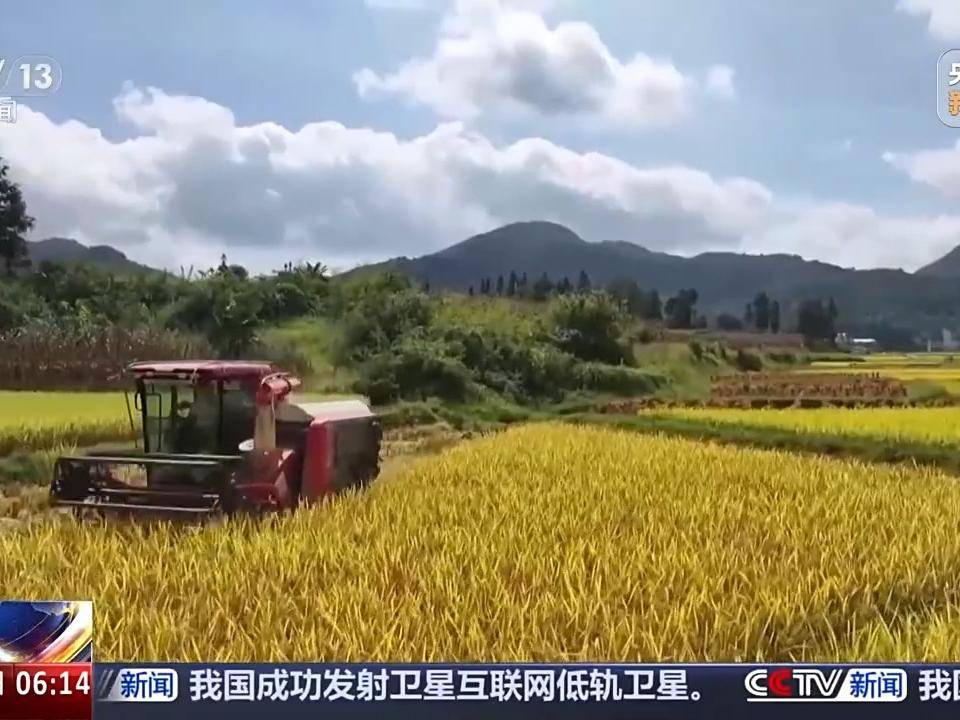 
                        4:3图片