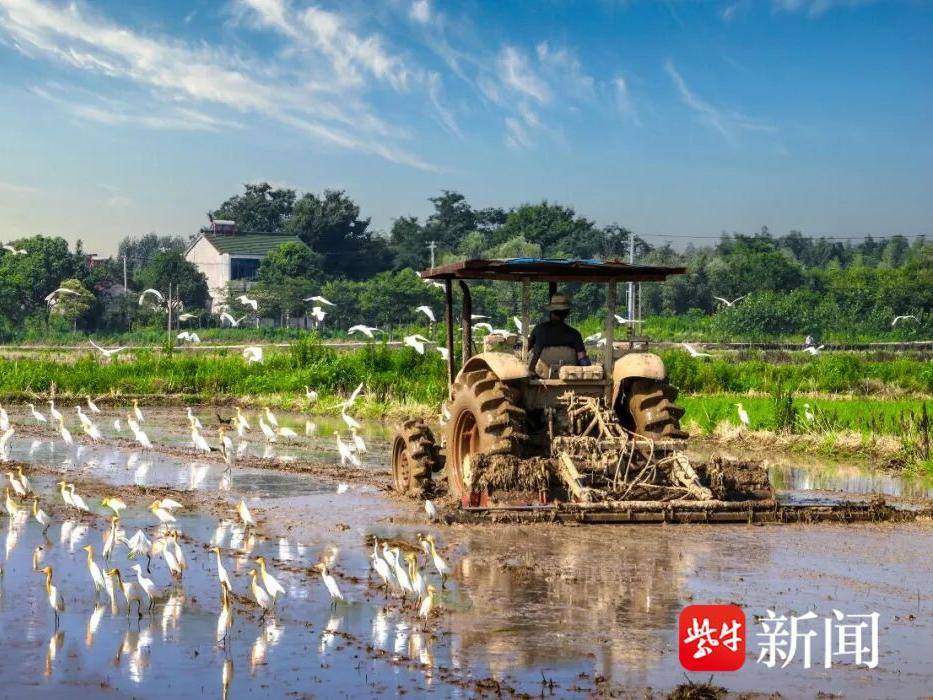 
                        4:3图片