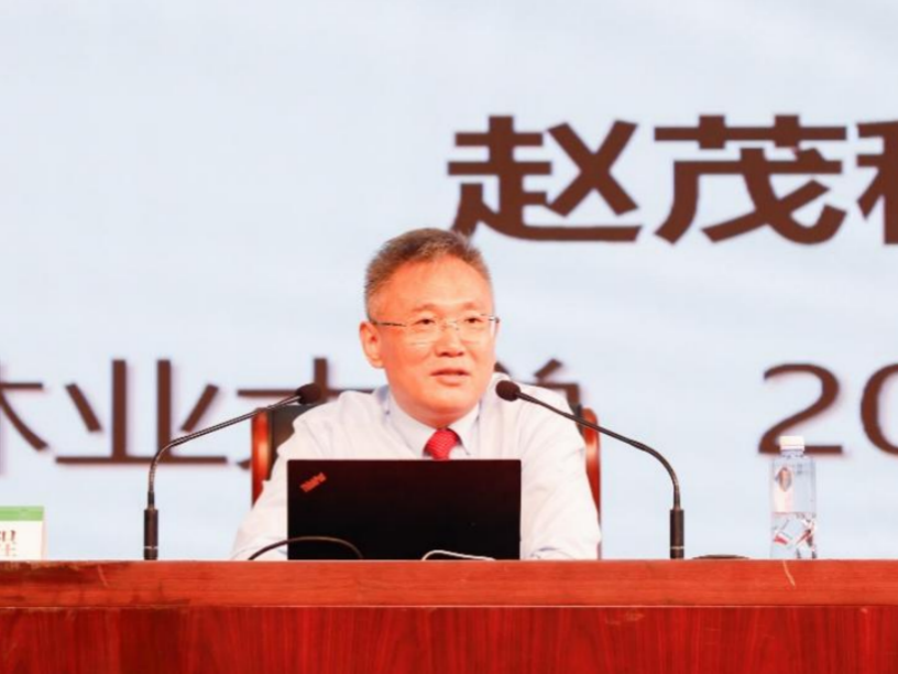 
                        4:3图片