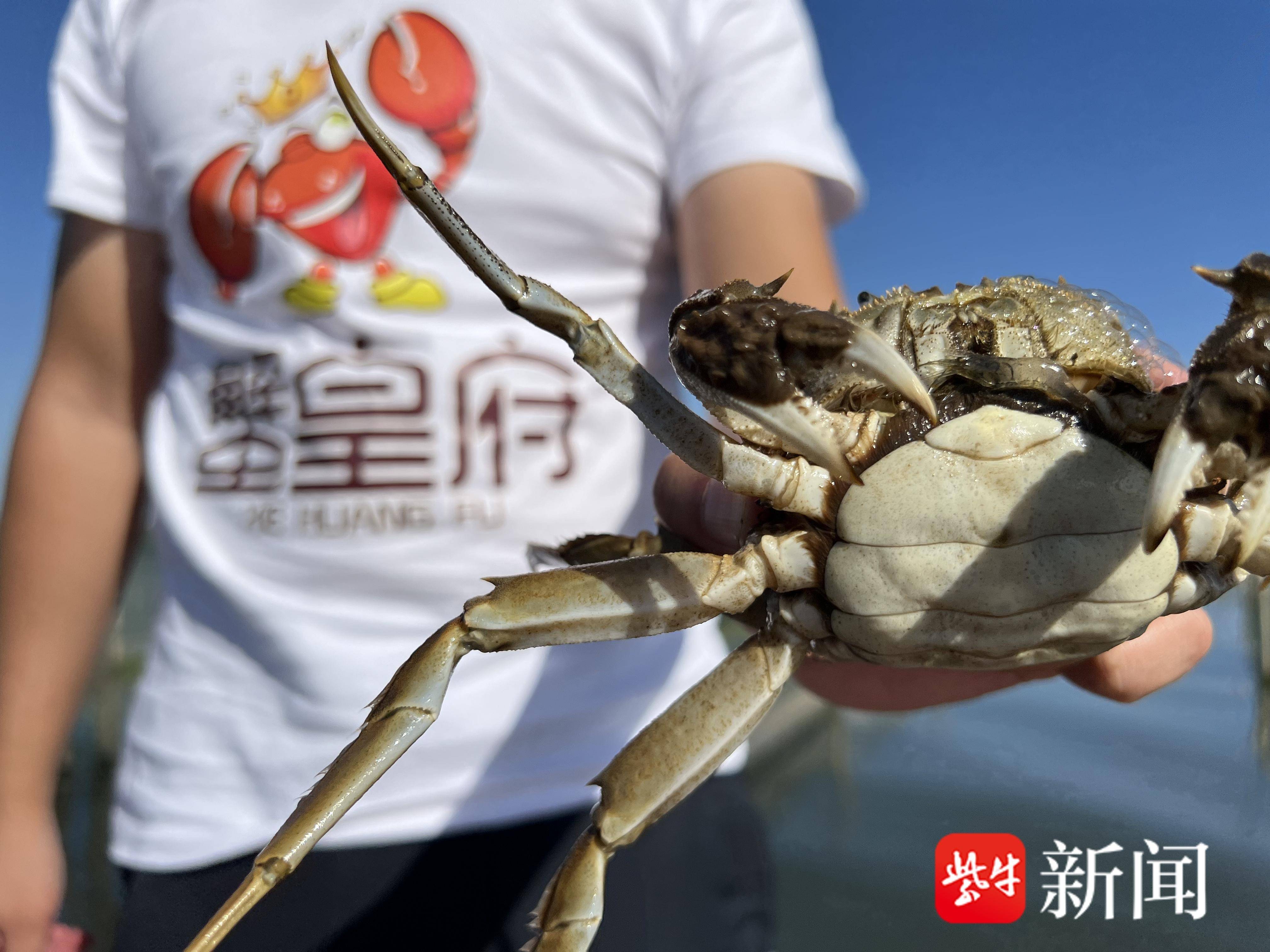 
                        4:3图片