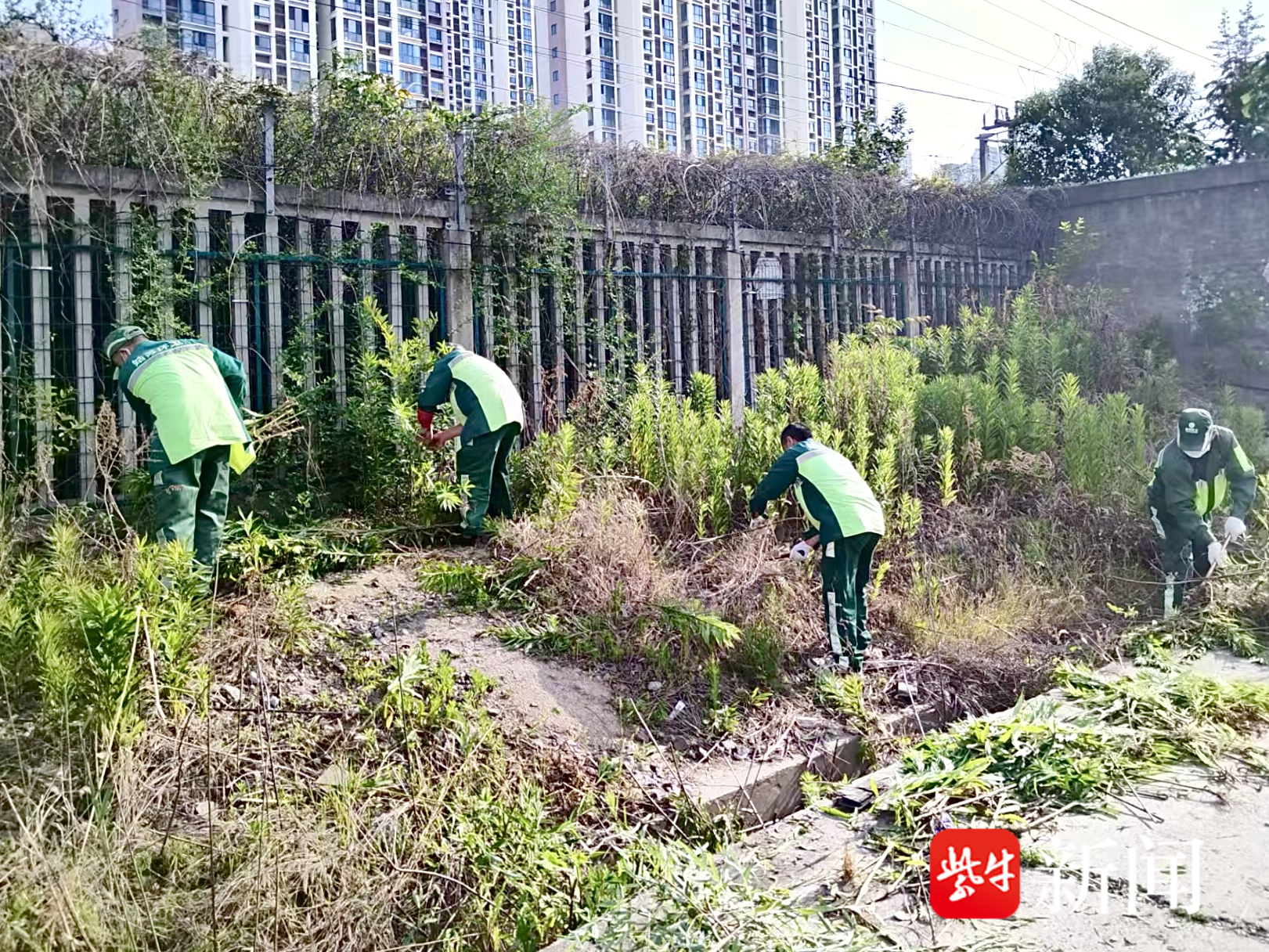 
                        4:3图片