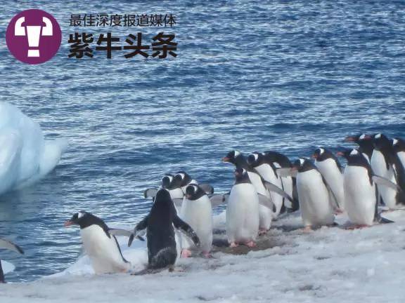 
                        4:3图片