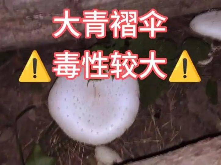 
                        4:3图片