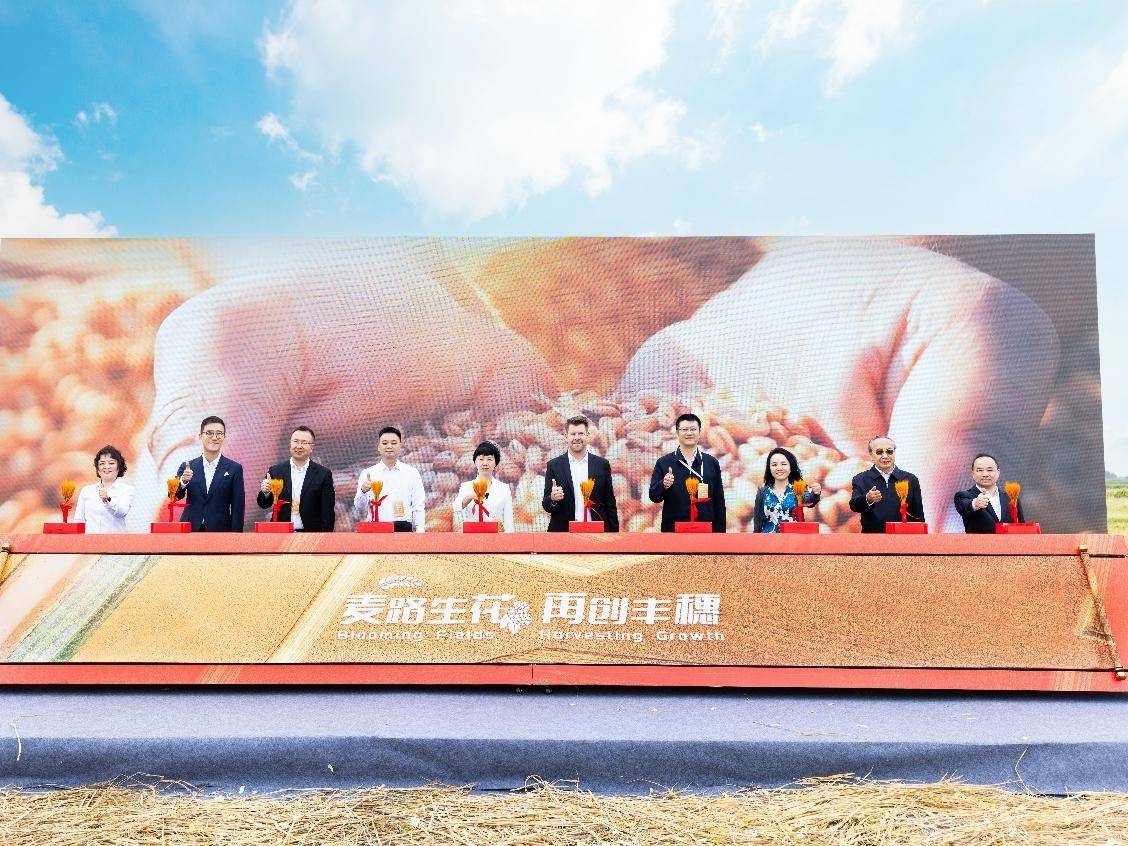 
                        4:3图片