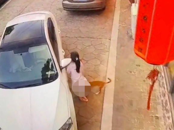 
                        4:3图片