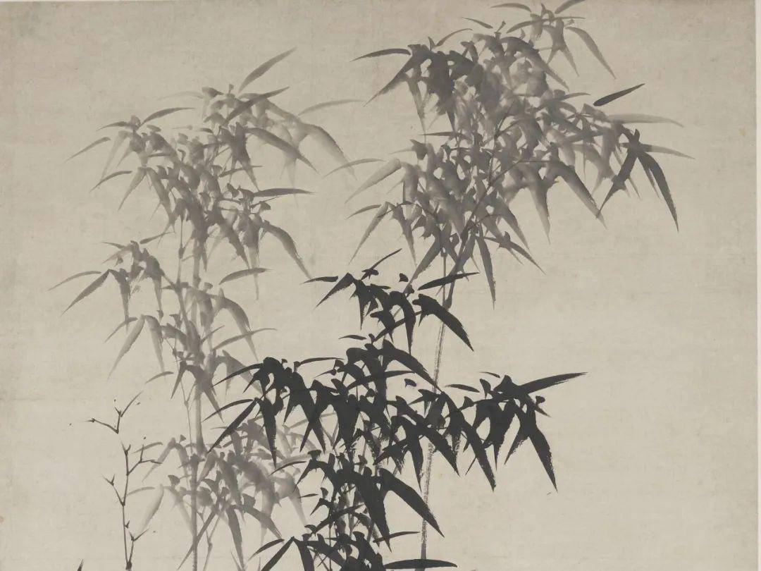 
                        4:3图片