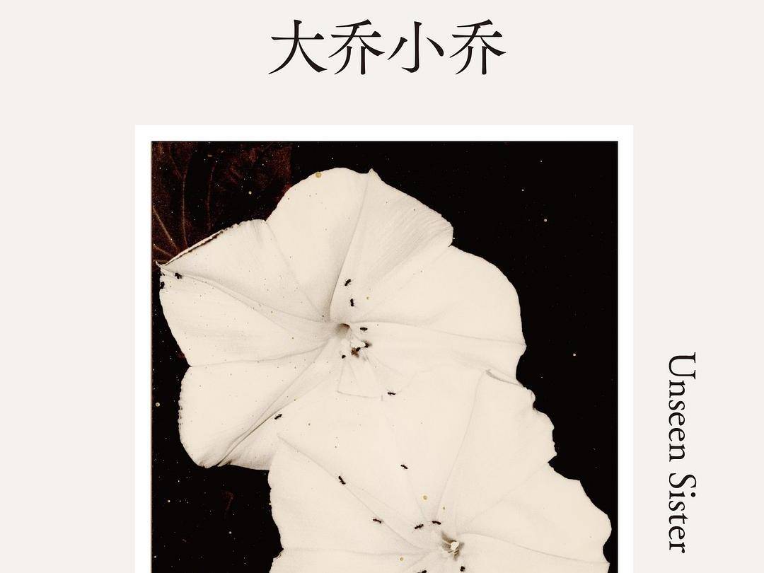 
                        4:3图片