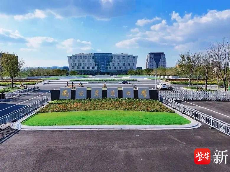 
                        4:3图片