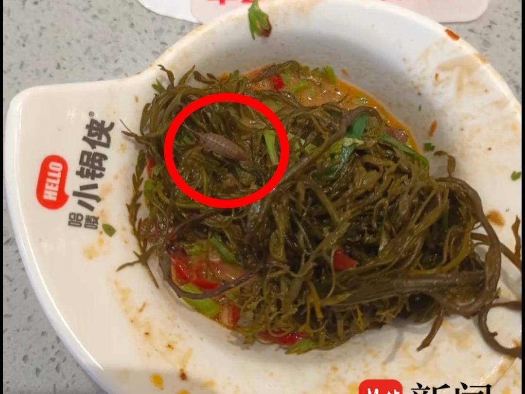 
                        4:3图片