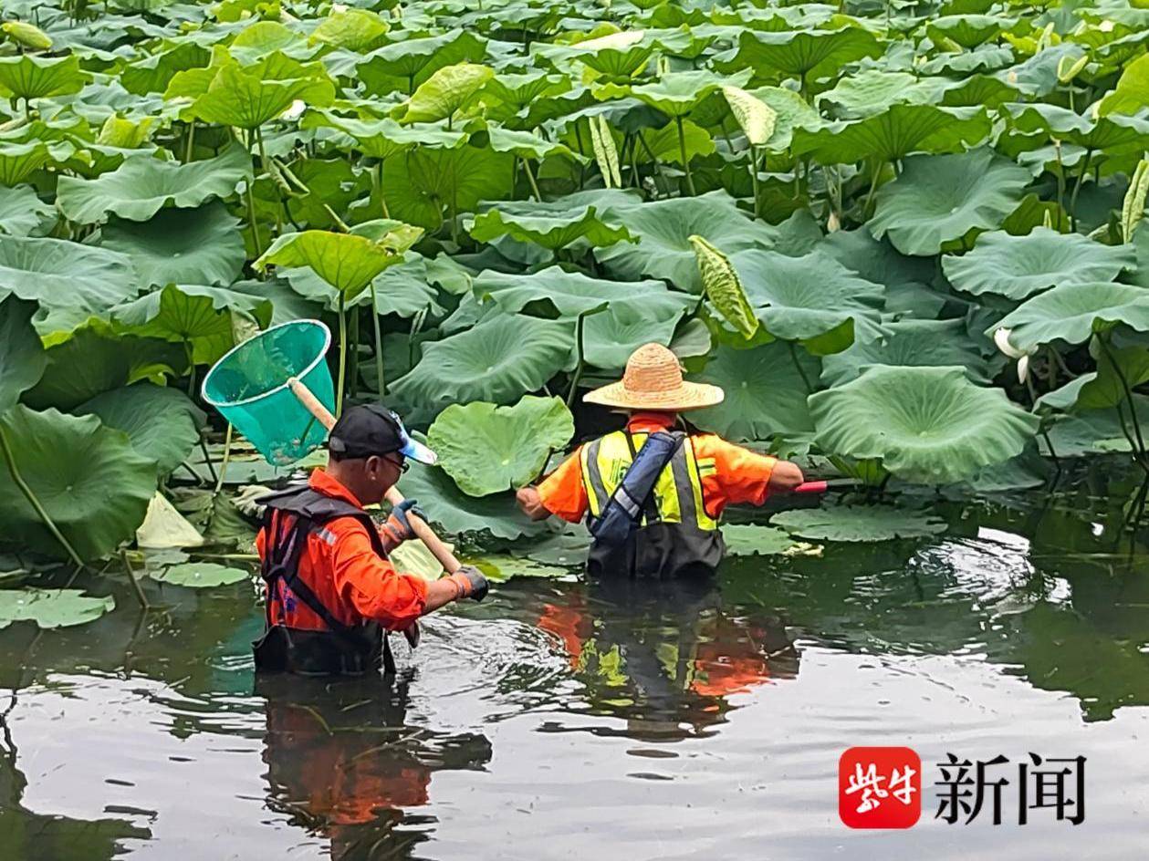 
                        4:3图片