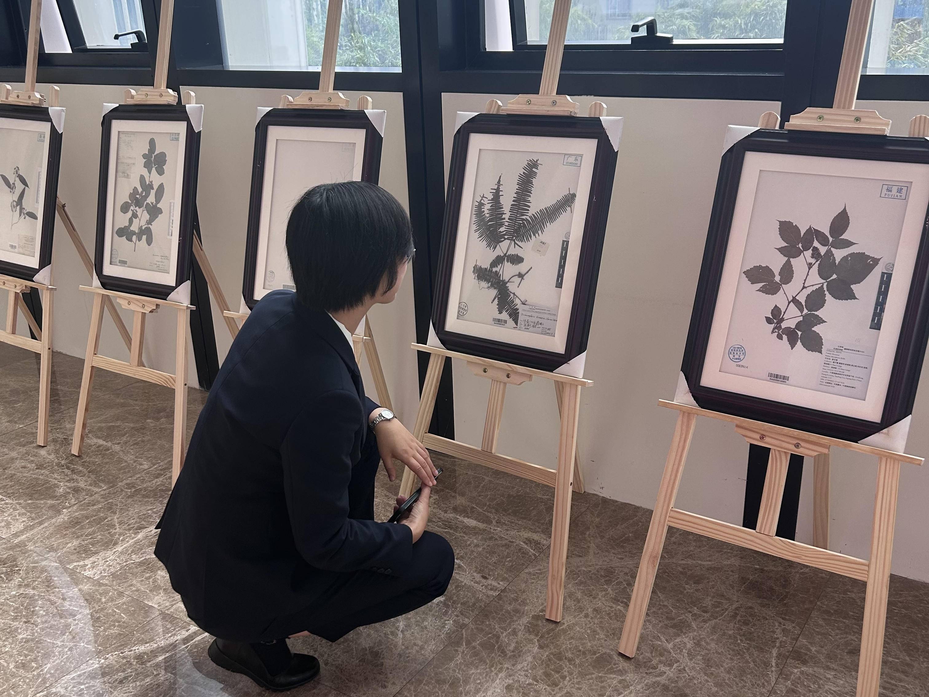 
                        4:3图片
