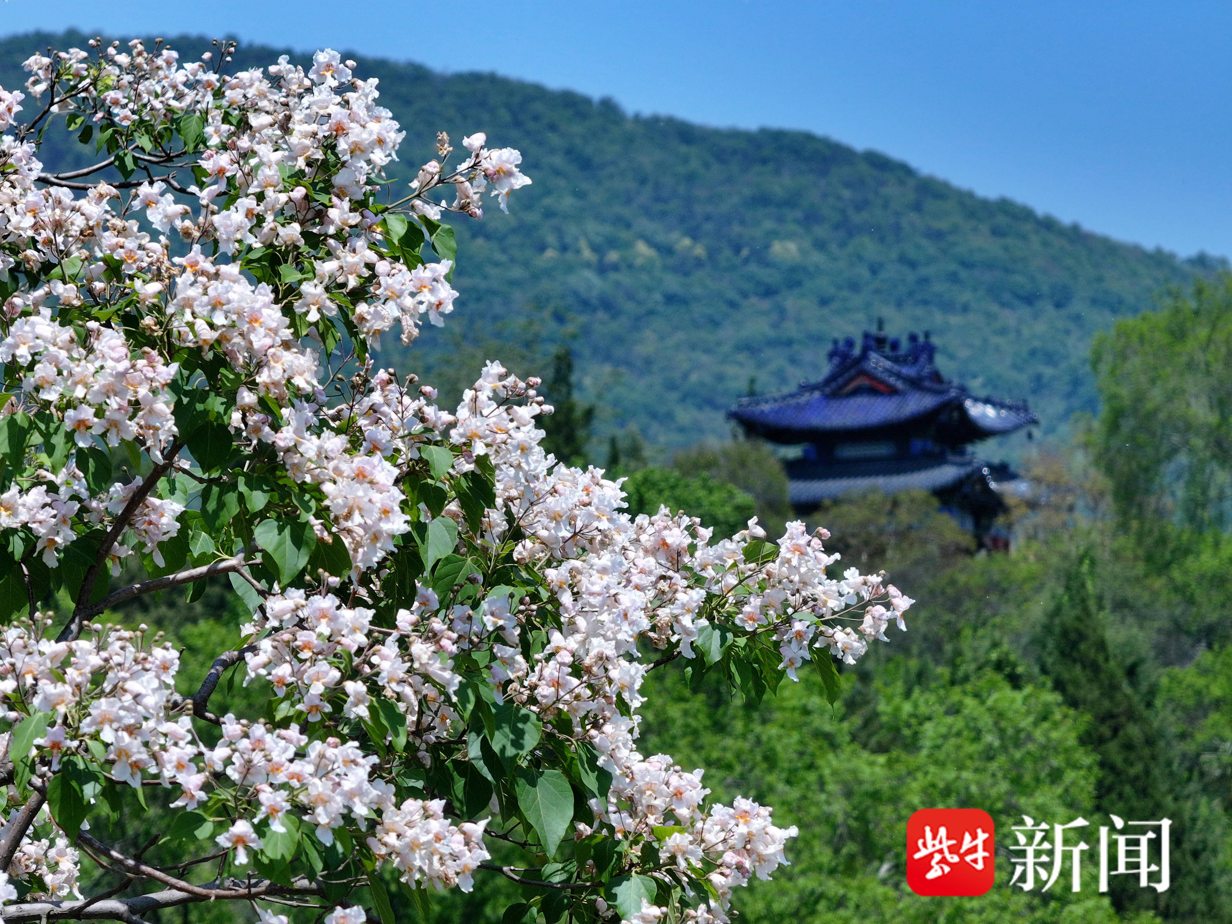 
                        4:3图片