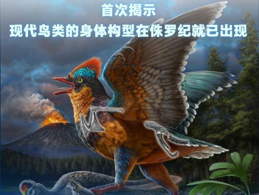 
                        4:3图片