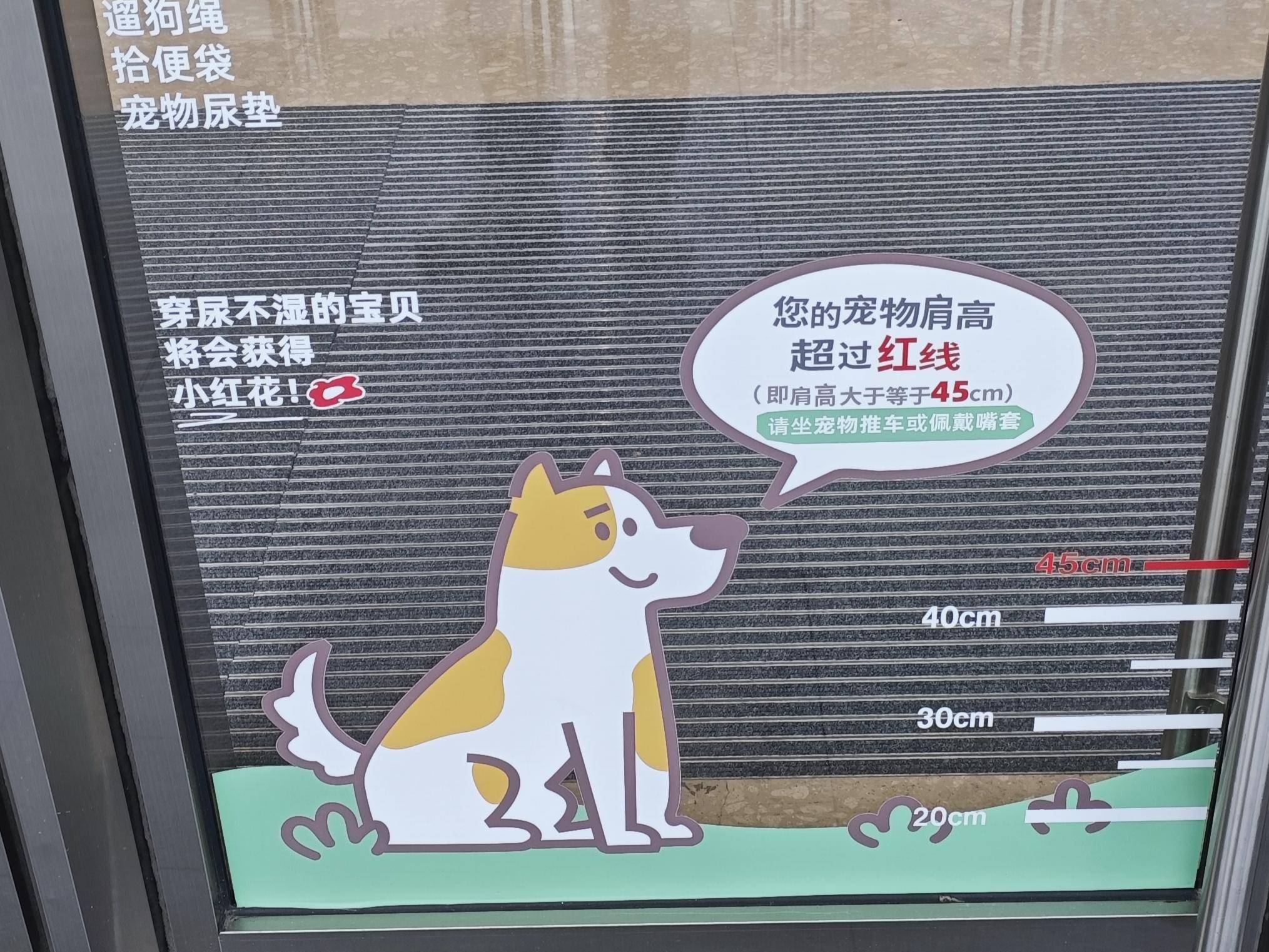 
                        4:3图片
