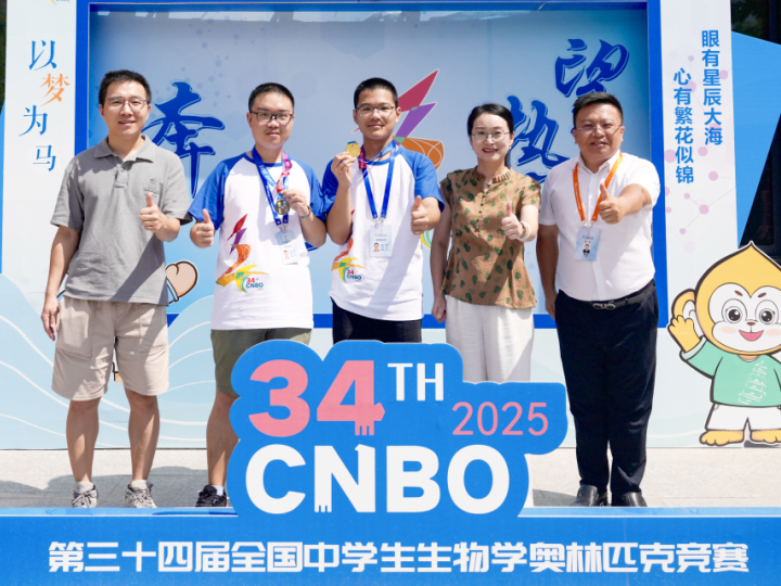 
                        4:3图片