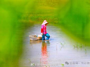 
                        4:3图片
