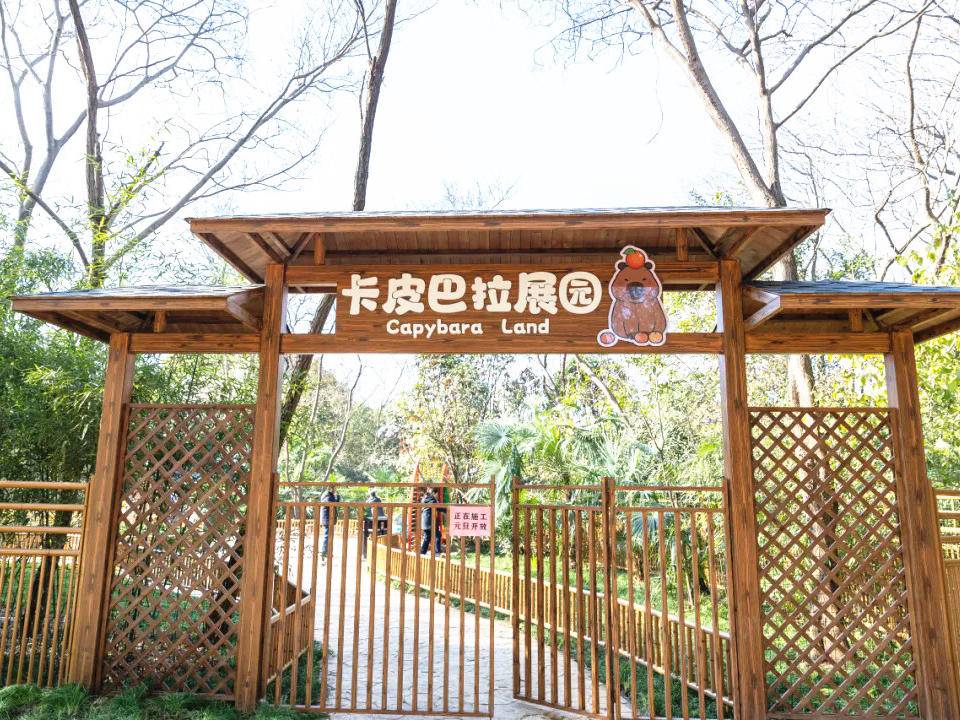 
                        4:3图片