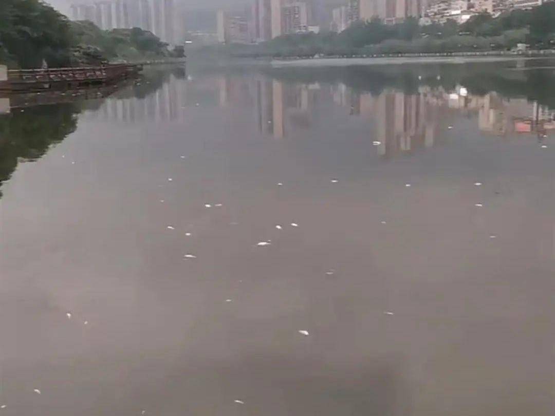 
                        4:3图片