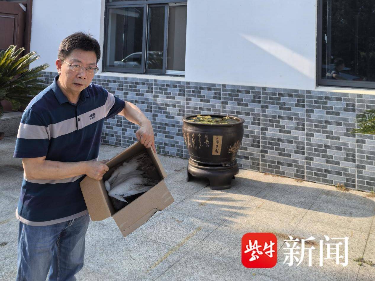 
                        4:3图片