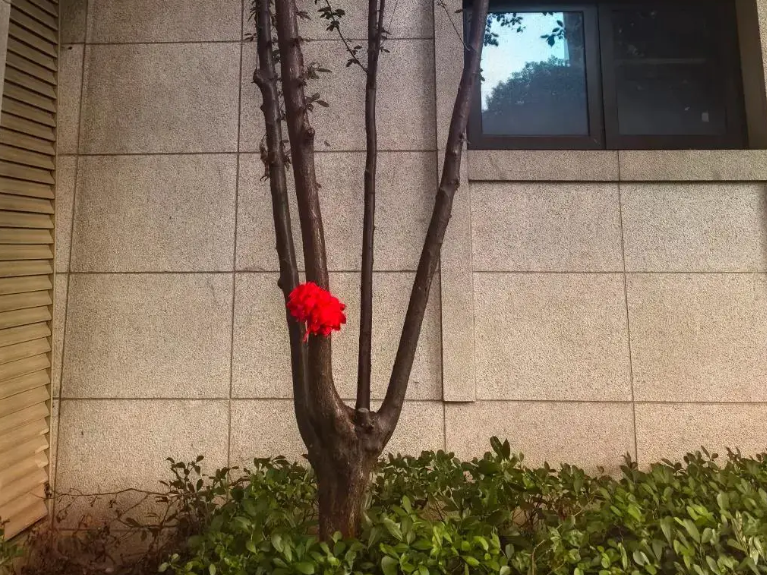 
                        4:3图片