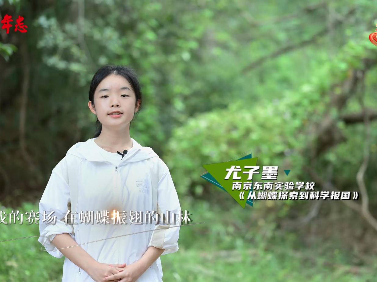 
                        4:3图片