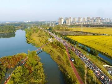 
                        4:3图片