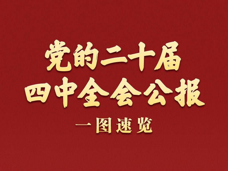 
                        4:3图片