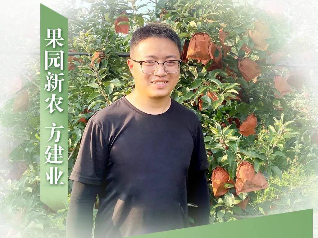 
                        4:3图片