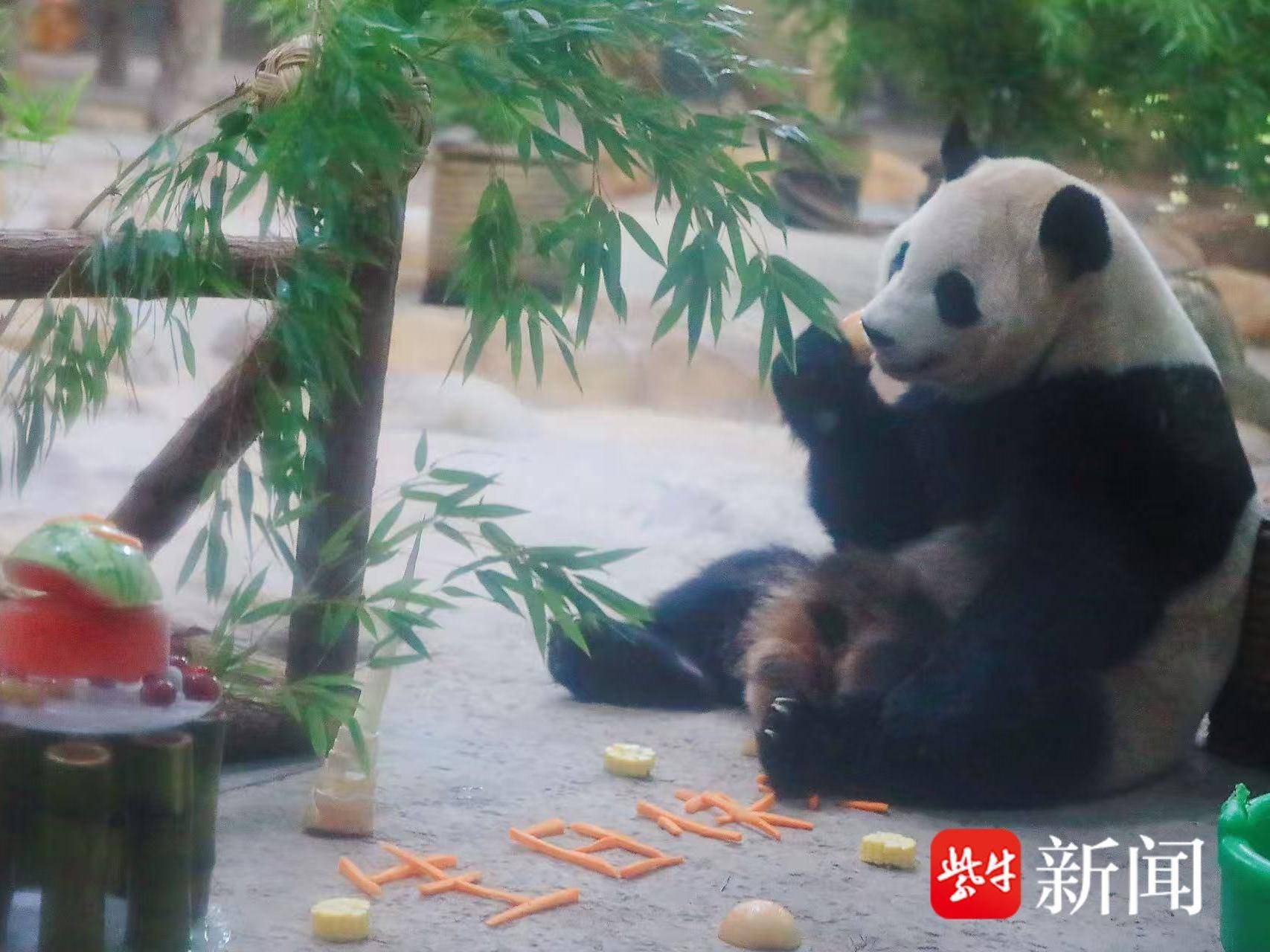 
                        4:3图片