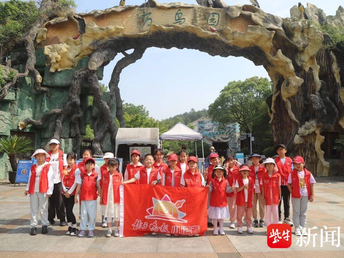 
                        4:3图片