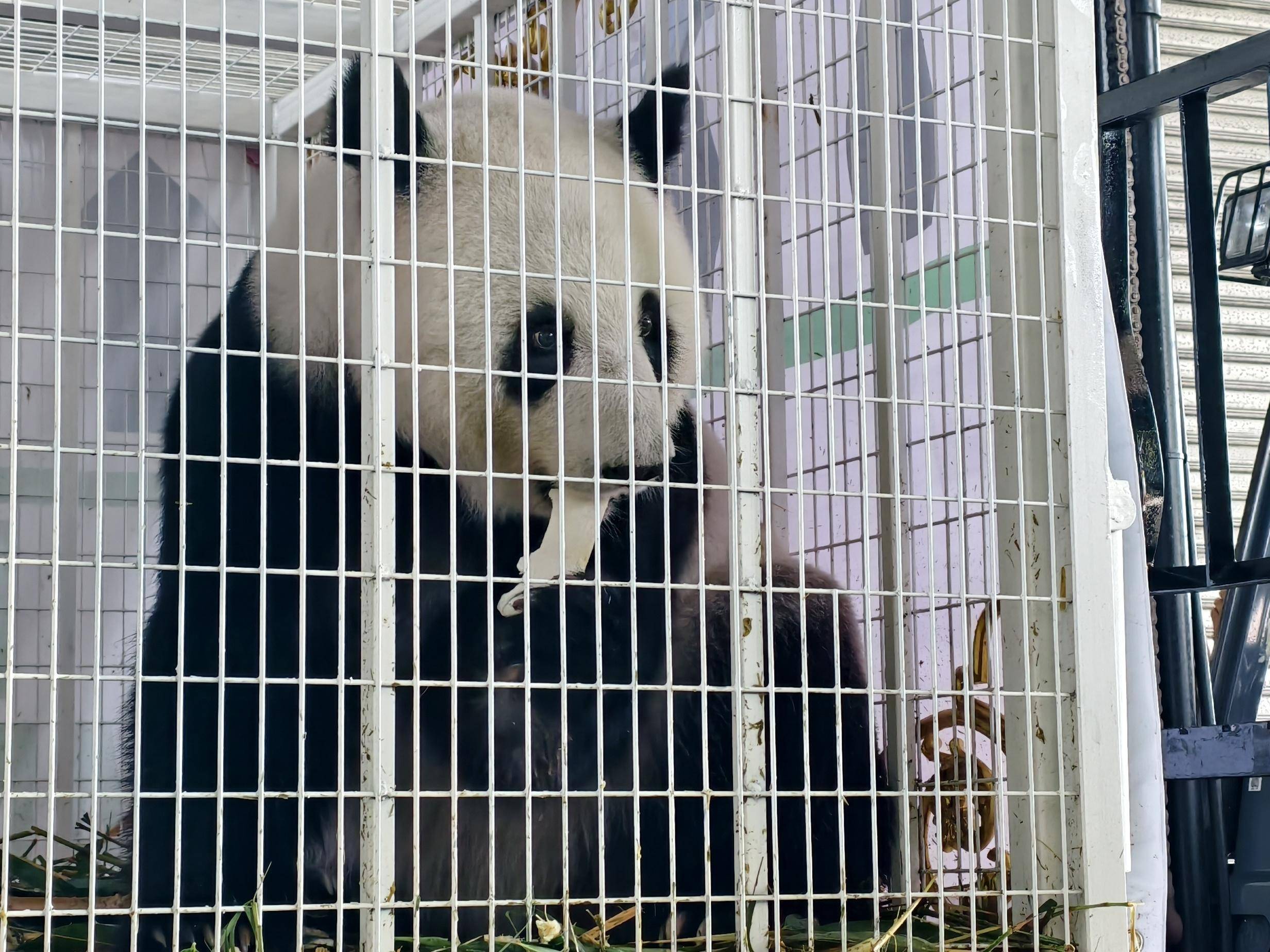 
                        4:3图片